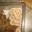 albino ball python hatch juggler bp first shed