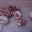 albino babies hatch ball python juggler bp